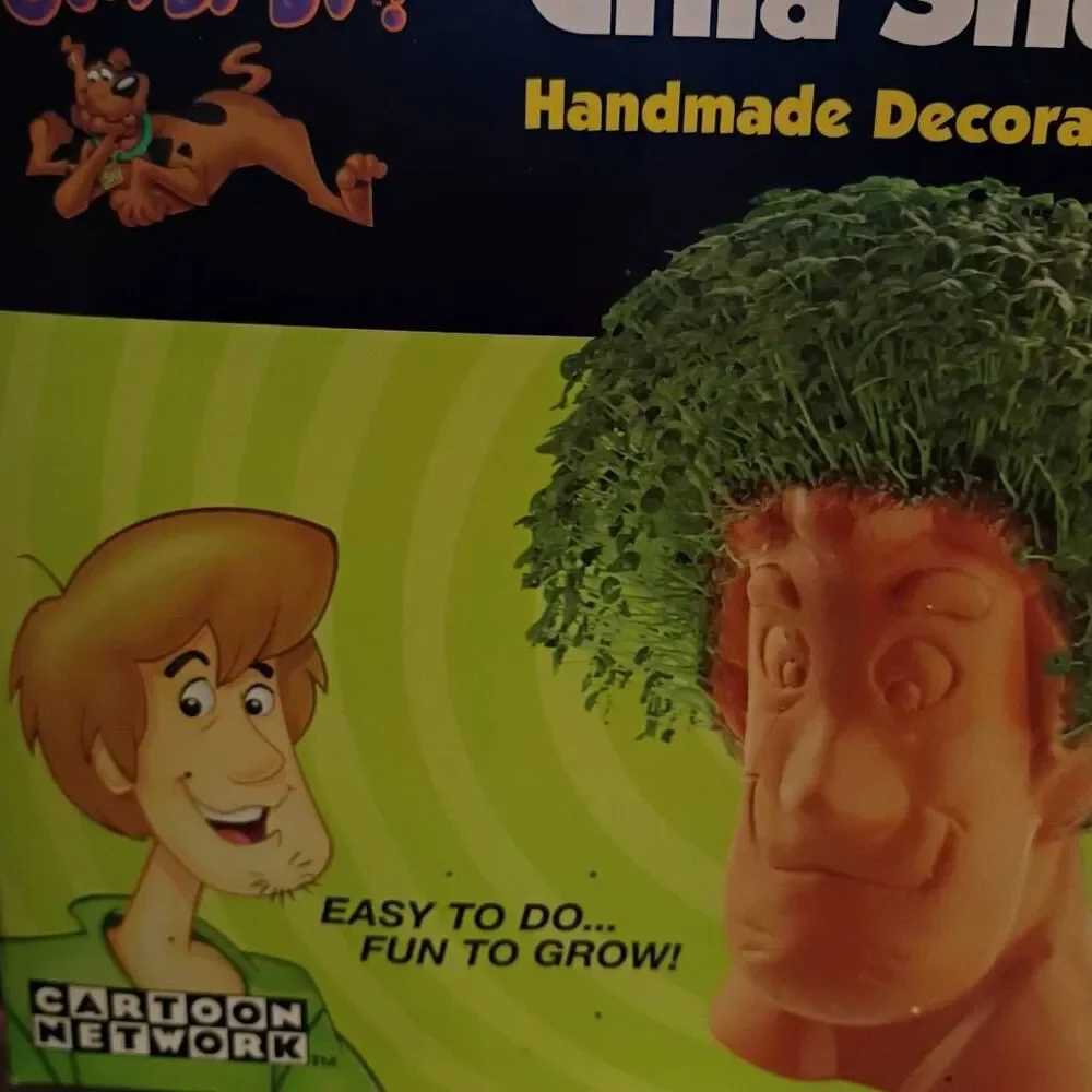 NWT Cartoon Network Scooby Doo Chia Shaggy